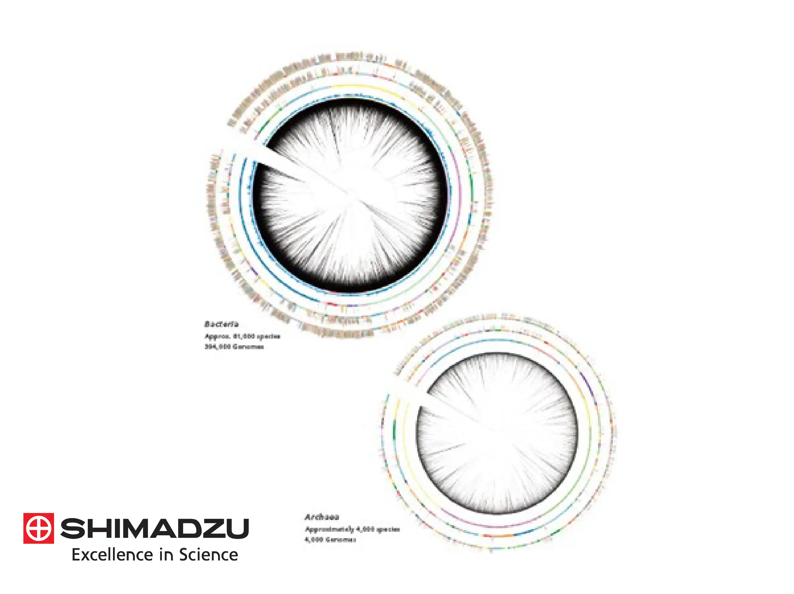 Shimadzu Microbial Identification Solutions